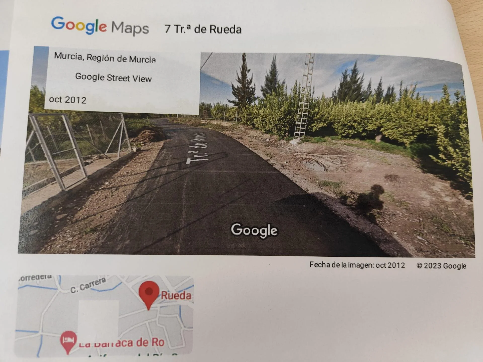 Parcela rústica en La Ñora, 1.590 m²