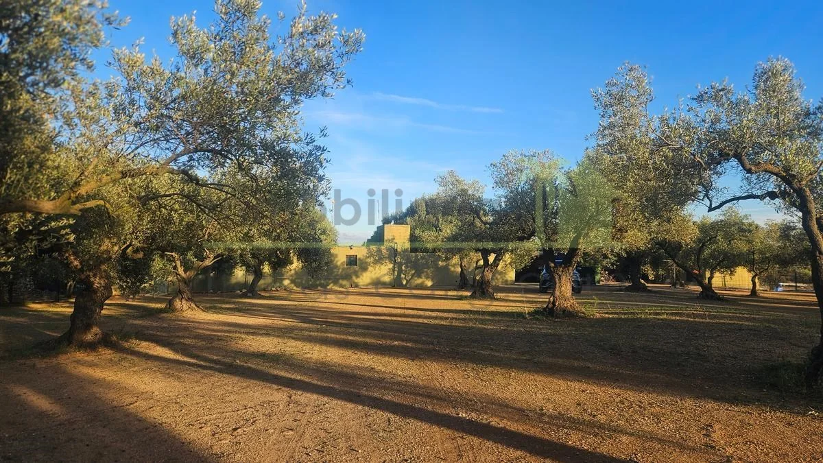 Mountain finca with 17,437 m² and outbuildings