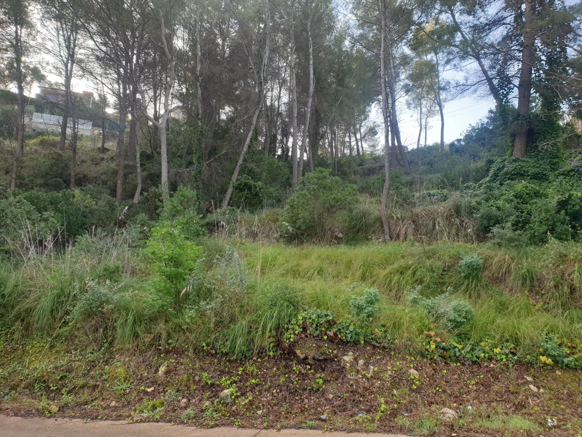 Parcela urbana en Mas Mestre, 1.348 m²
