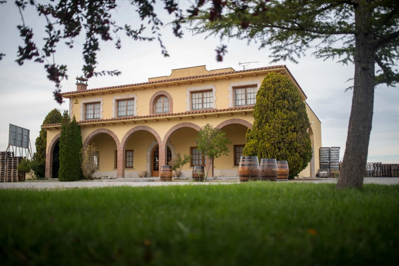 Industrial winery in Penedès, 4,524 m²