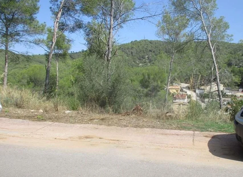 Parcela rústica en Mas Mestre, 917 m²