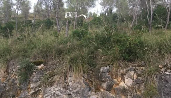 Terreno urbano en Mas Mestre, Olivella