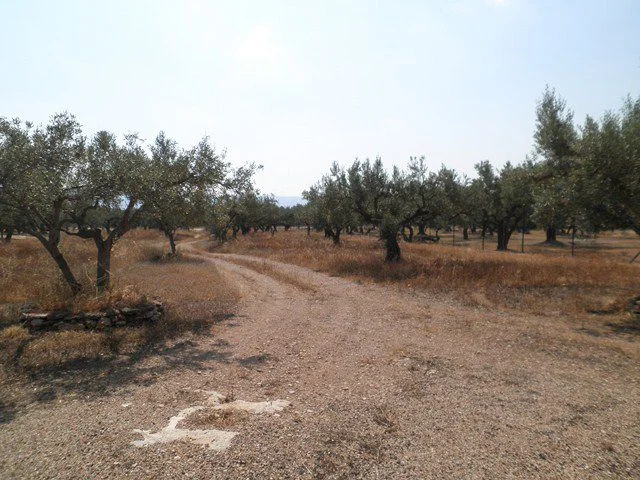 Chalet in Els Reguers with large plot