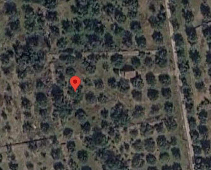 Rural plot in Aldea, 27,168 m²