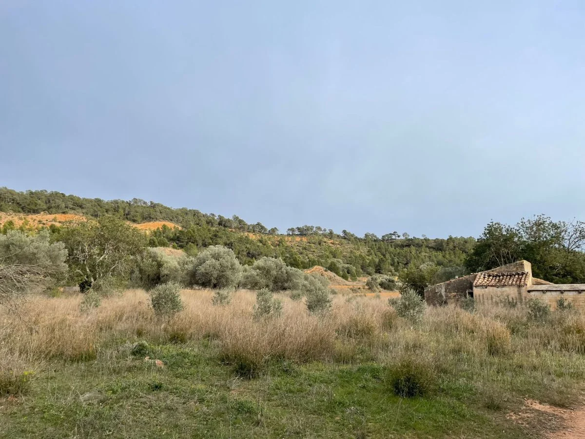 Finca rústica con caseta de 105 m²