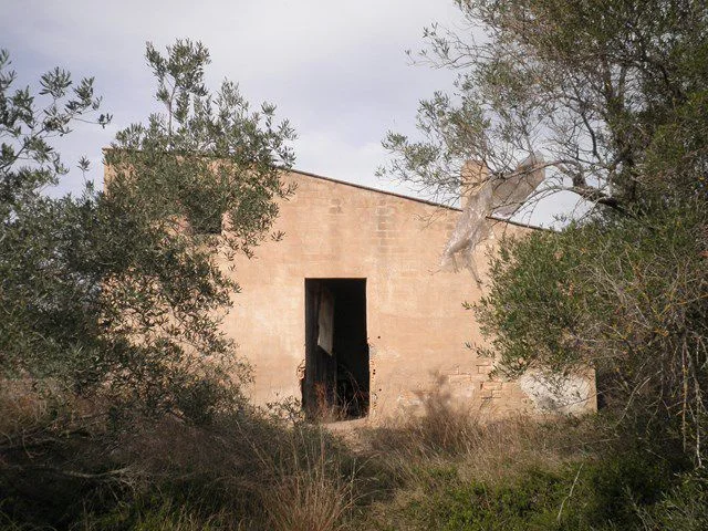 Flat rural plot with field shelter