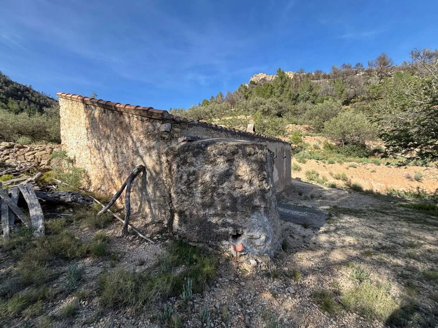 Rural plot in Pauls, 26,231 m²