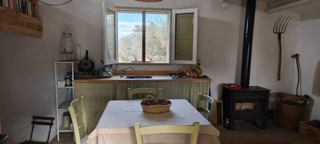 Finca rústica con 400 olivos