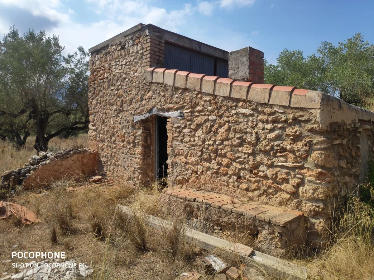 Rural finca in Roquetes, 29,385 m²