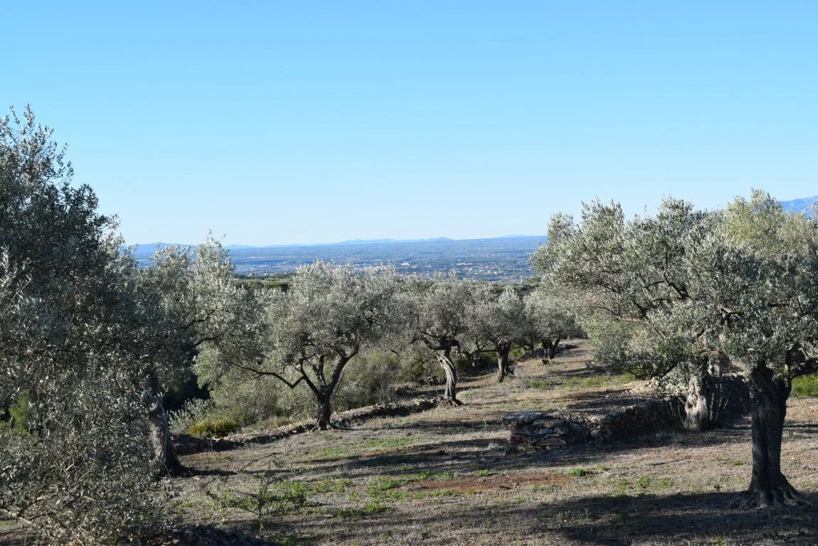 Finca rústica en Bítem, 7.921 m²