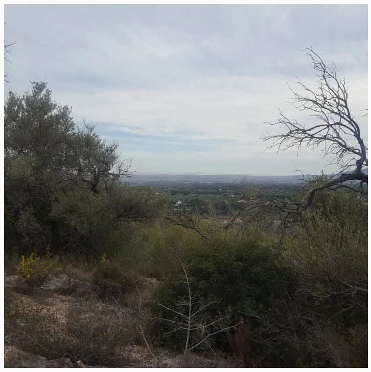Finca rústica cerca de Tortosa, 17.893 m²