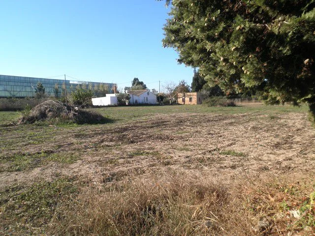 Rural plot near Tortosa, 4,459 m²