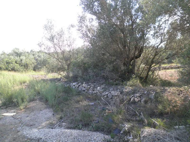 Rural Tortosa plot, 13,750 m²