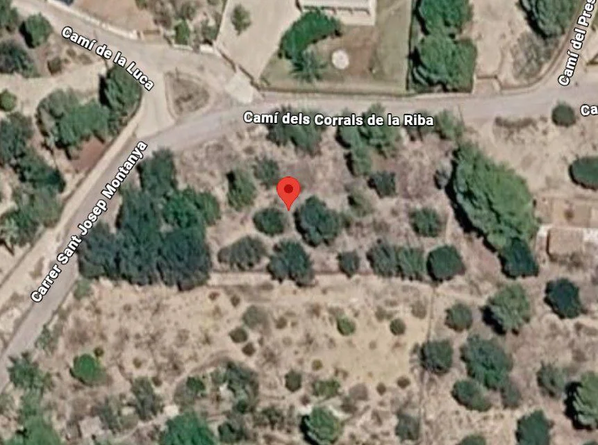 Rural plot with almond and olive trees