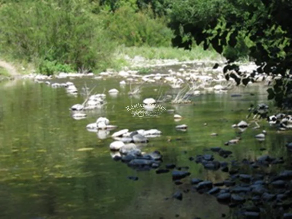 Parcela rústica junto al río con naranjos