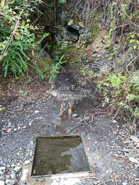 Finca rural de 34 hectáreas con ruinas