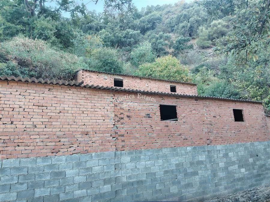 Parcela arbolada de 12.000 m² cerca de Benarrabá