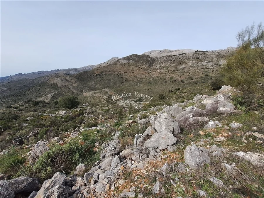 Finca de 100 hectáreas con casa de piedra