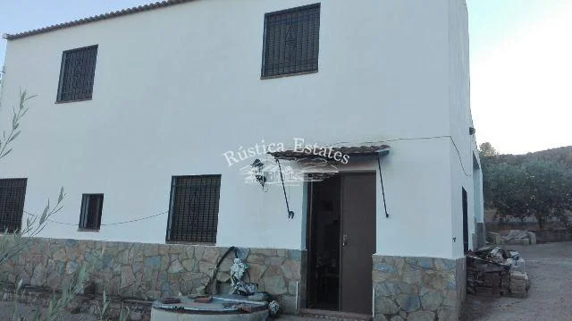 Casa rural con olivar productivo