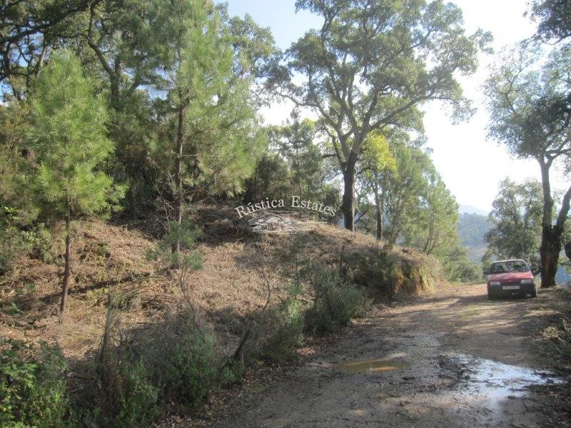 Finca arbolada de 6 hectáreas cerca de Benarraba
