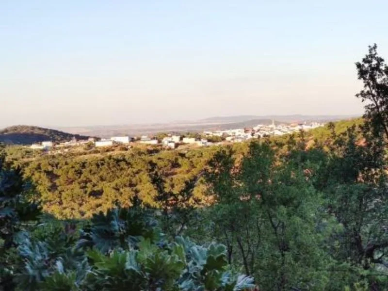 Rural plot near Cabeza la Vaca