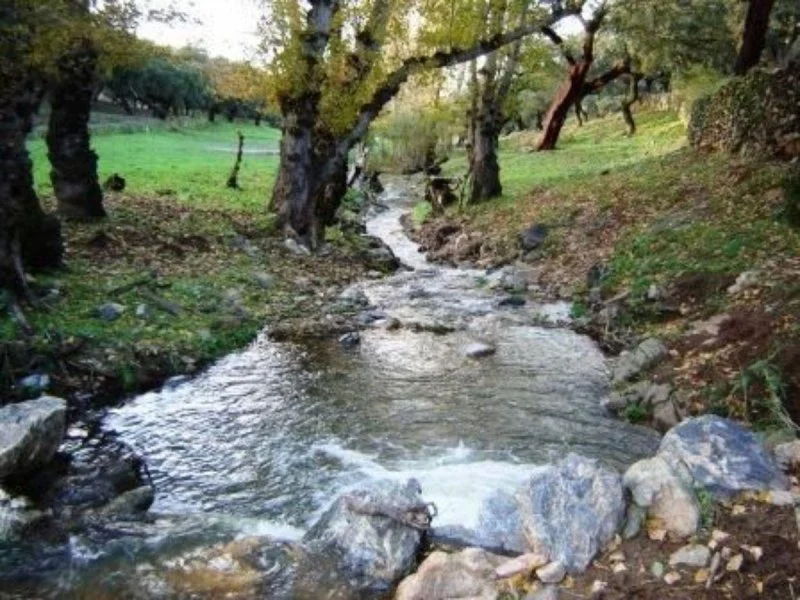 Rural estate with Iberian pig potential