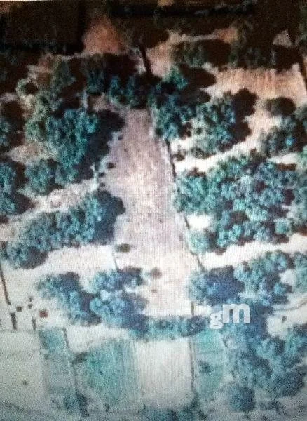Rural estate near Cabeza la Vaca