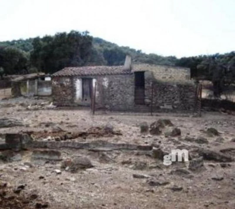 Rural finca with 53,000 m² plot