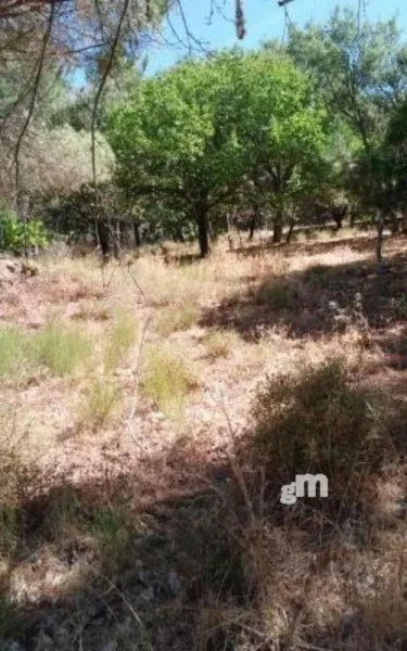 Rural olive finca, 5,998 m² plot