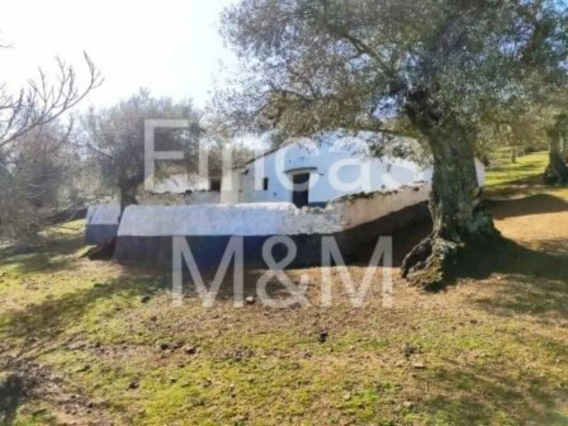Rustic estate near Segura, 1 bedroom