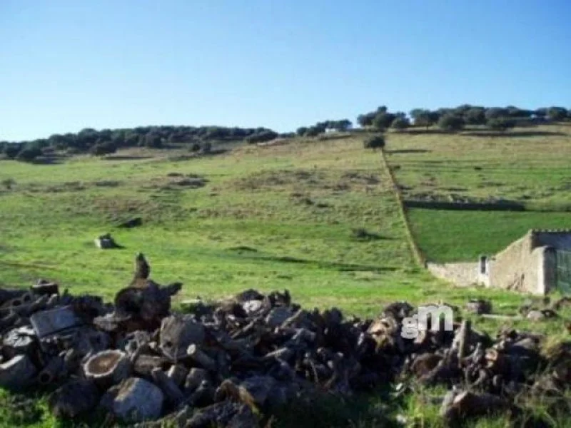 12-hectare rural estate near town