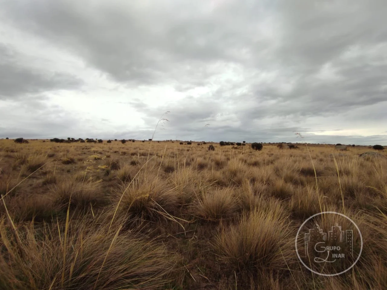 7,944 m² farm plot in Narrillos