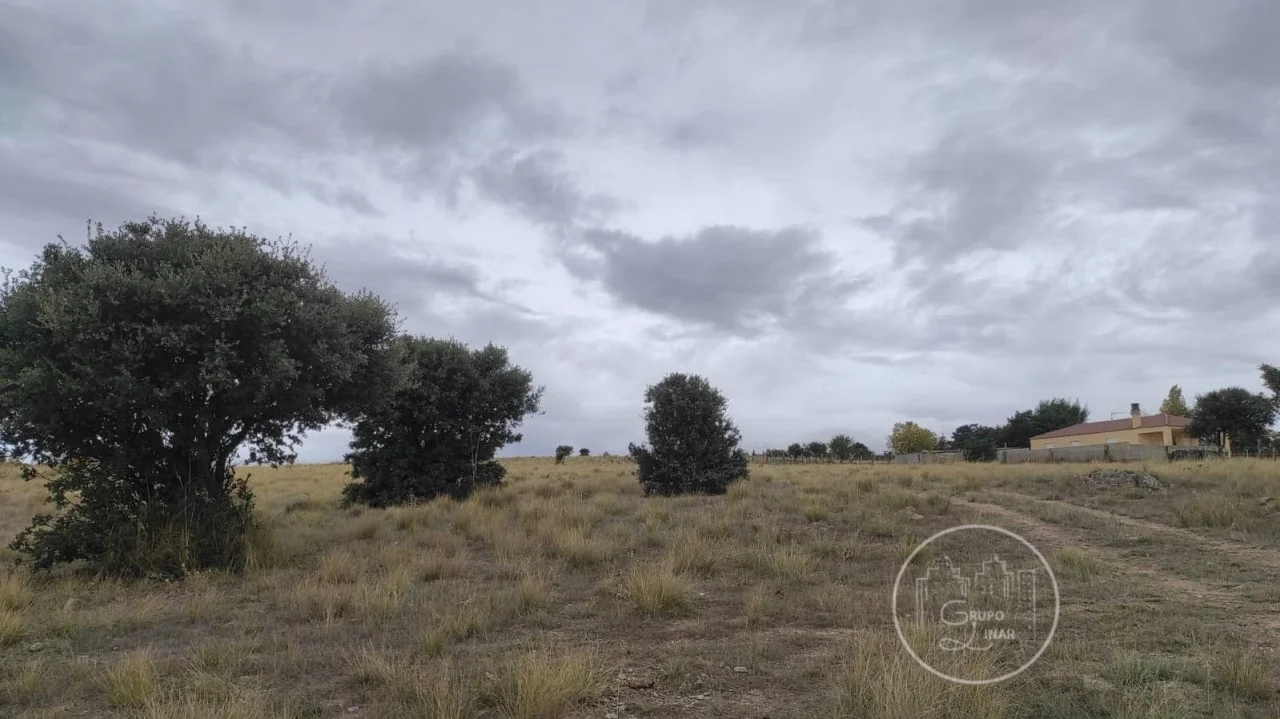 Rural land in Narrillos del Álamo