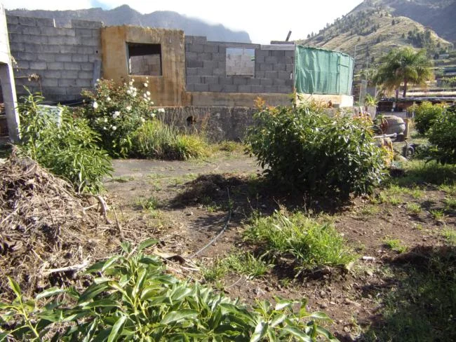 Agricultural plot near Los Llanos