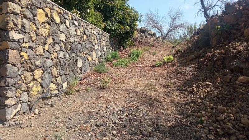 Rural El Paso plot, 1,747 m²