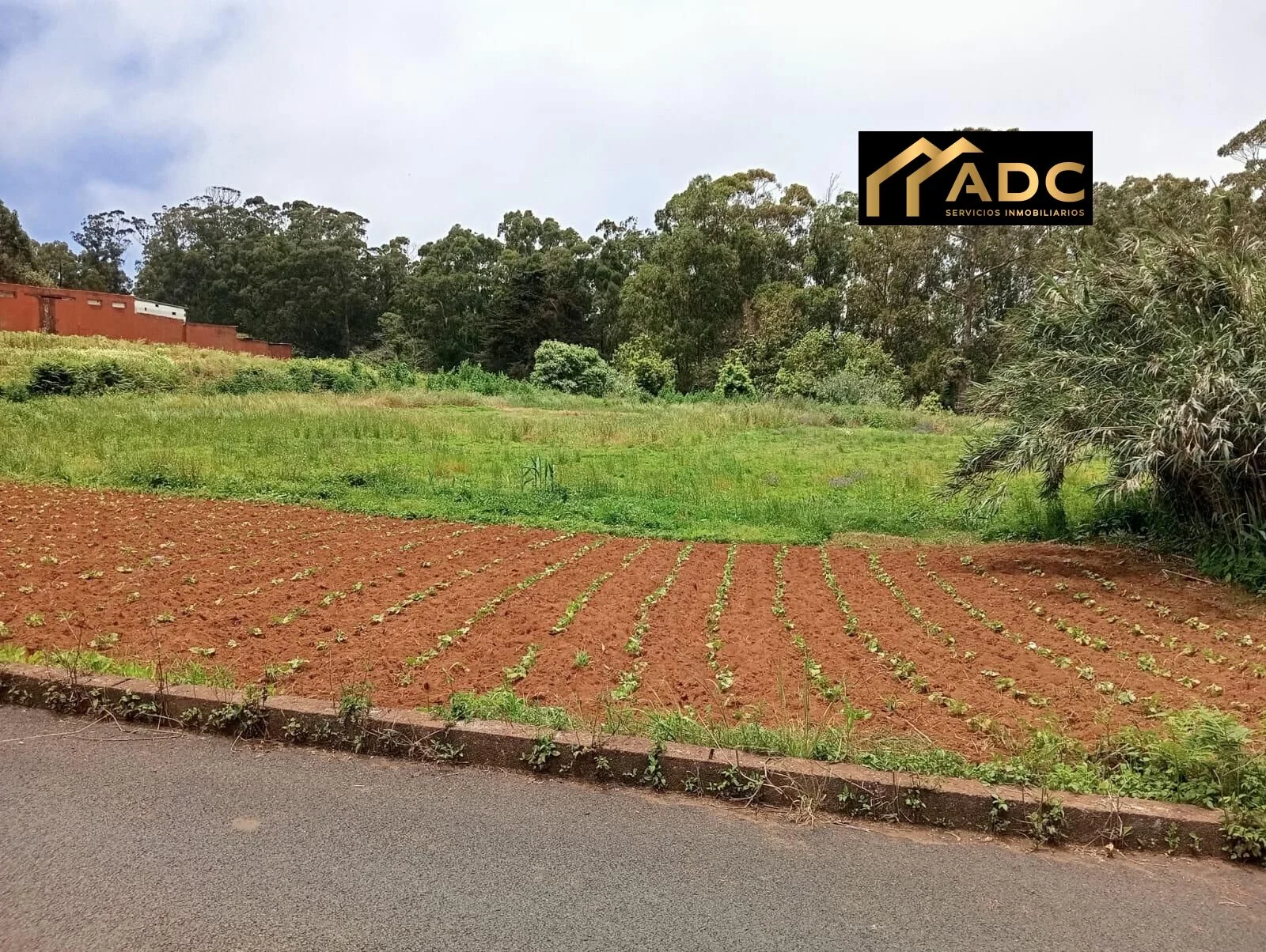 Urban and rural land in Tacoronte