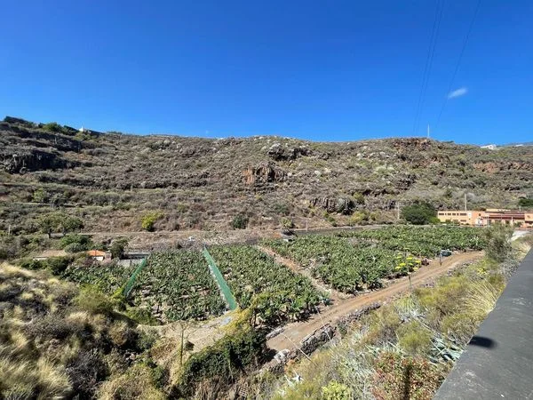Rural banana finca near Santa Cruz