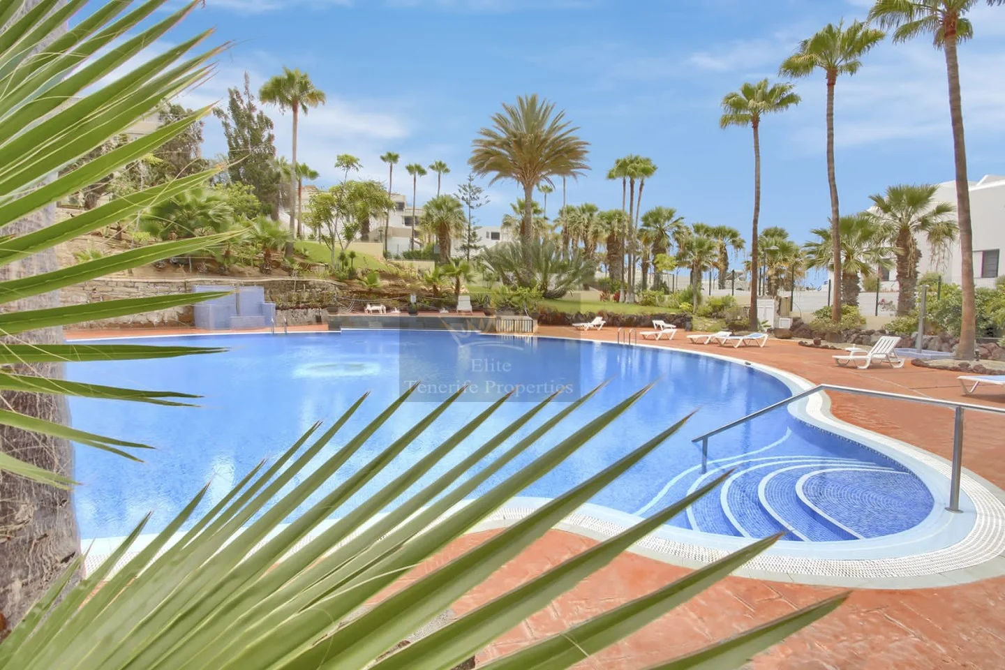 Bright studio in Playa Americas
