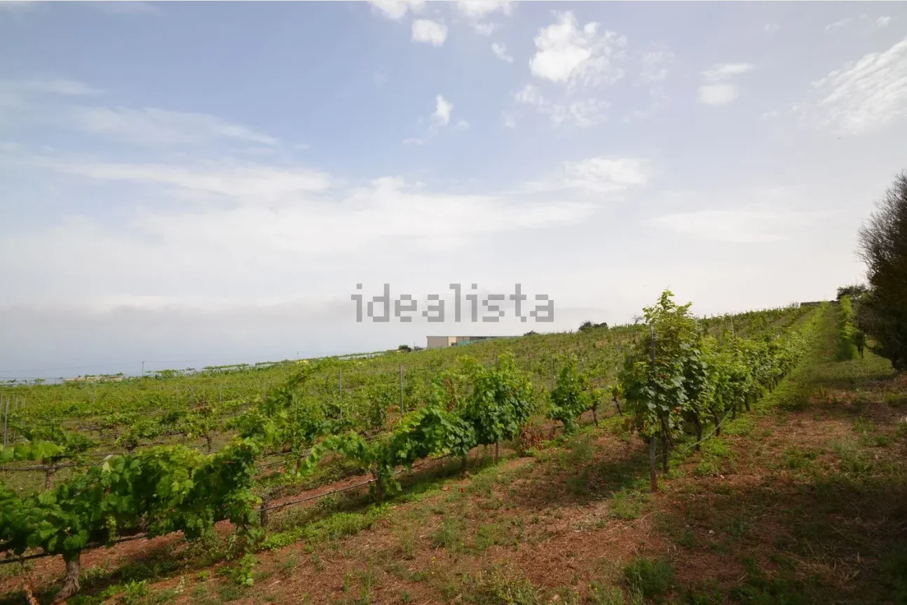 Wine estate with 32,000 m² plot