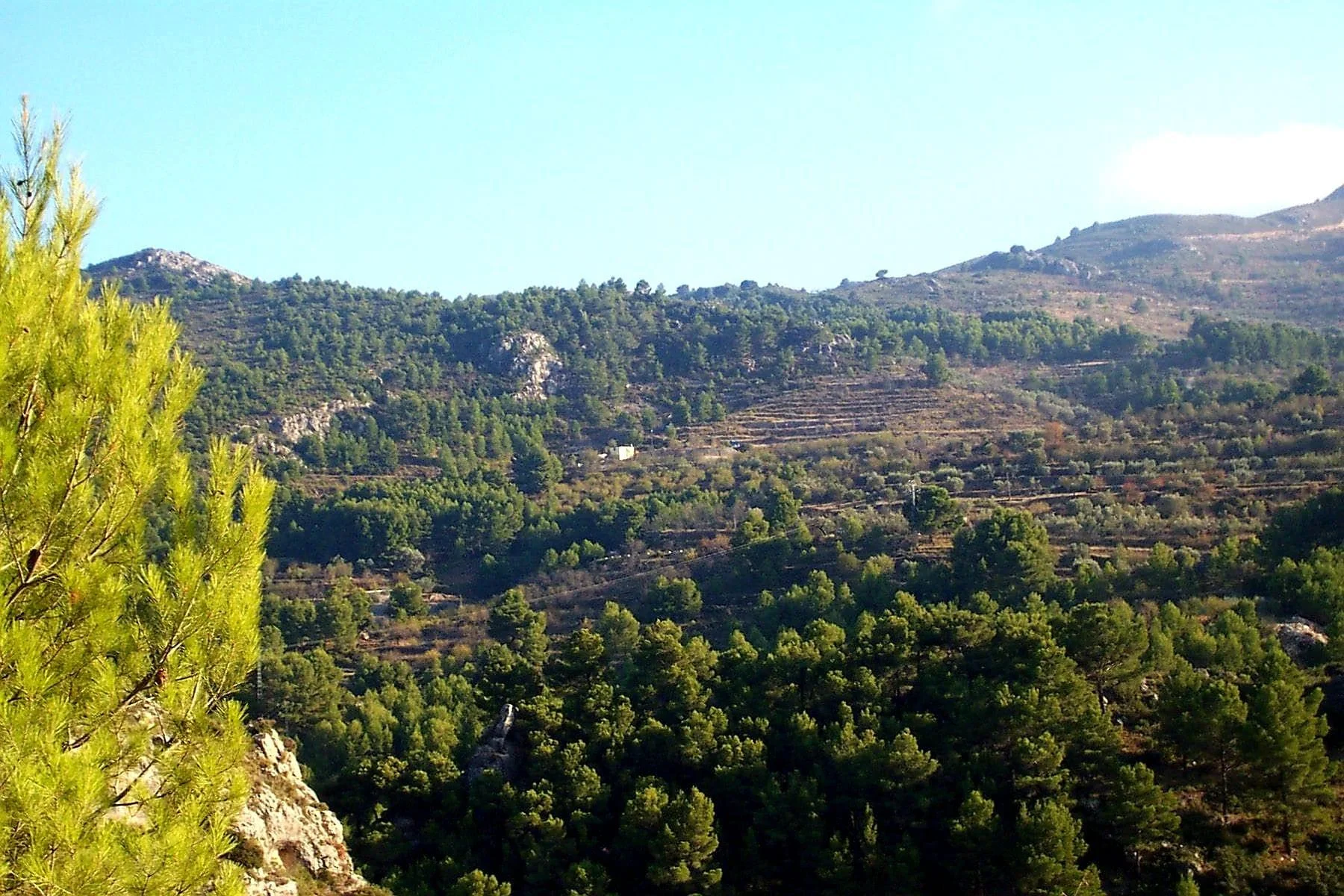 Rustic plot near Confrides, 15000 m²