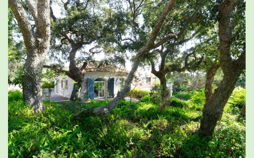 Large villa on Valderrama plot