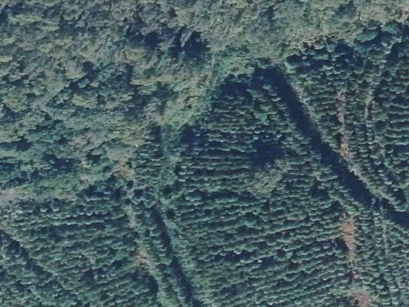 Parcela de terreno en subasta en Somozas