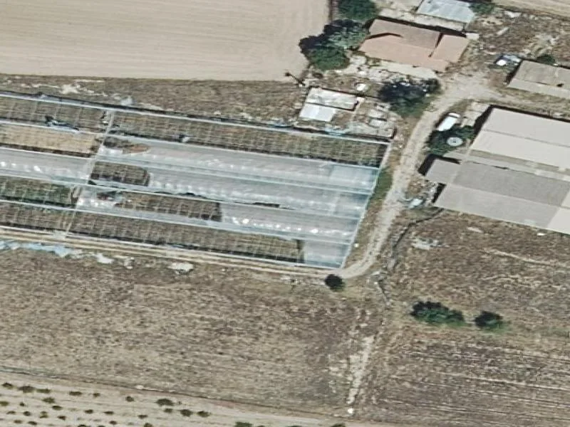 50% industrial property in El Molar