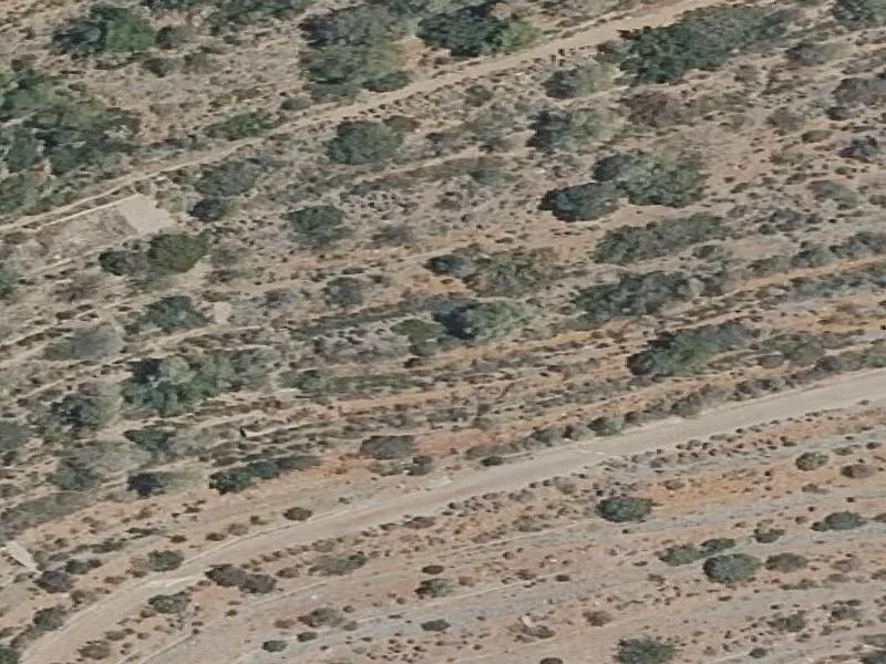 Terreno urbano en Algimia de Alfara
