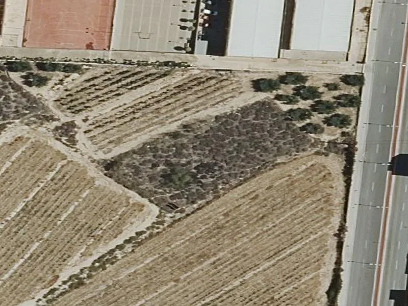 Auctioned irrigated land in Novelda