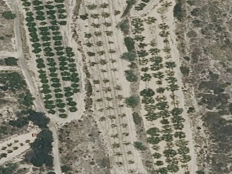Rural auction plot in Valencia