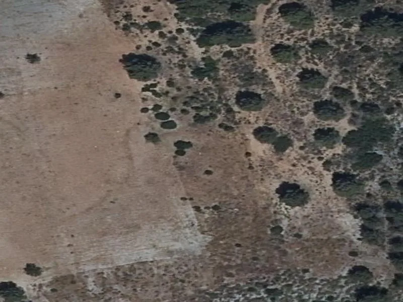 Subasta de terrenos rústicos en Lorca